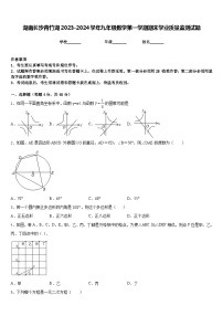 湖南长沙青竹湖2023-2024学年九年级数学第一学期期末学业质量监测试题含答案