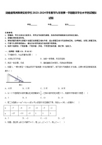 湖南省株洲湘渌实验学校2023-2024学年数学九年级第一学期期末学业水平测试模拟试题含答案