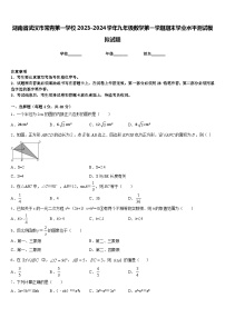 湖南省武汉市常青第一学校2023-2024学年九年级数学第一学期期末学业水平测试模拟试题含答案