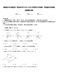 湖南省长沙市雨花区广益实验中学2023-2024学年数学九年级第一学期期末质量跟踪监视模拟试题含答案