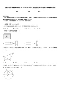 湖南长沙长郡梅溪湖中学2023-2024学年九年级数学第一学期期末调研模拟试题含答案