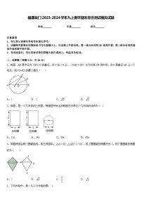 福建厦门2023-2024学年九上数学期末综合测试模拟试题含答案