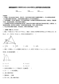 福建省福州市三牧中学2023-2024学年九上数学期末达标测试试题含答案