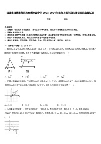 福建省福州市师范大泉州附属中学2023-2024学年九上数学期末质量跟踪监视试题含答案