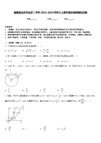 福建省龙岩市龙岩二中学2023-2024学年九上数学期末调研模拟试题含答案