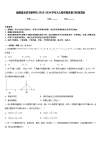 福建省龙岩市新罗区2023-2024学年九上数学期末复习检测试题含答案