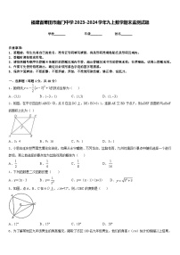 福建省莆田市南门中学2023-2024学年九上数学期末监测试题含答案