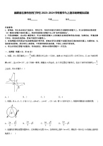 福建省石狮市自然门学校2023-2024学年数学九上期末调研模拟试题含答案