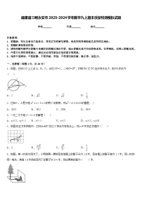 福建省三明永安市2023-2024学年数学九上期末质量检测模拟试题含答案