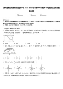 贵州省贵阳市贵安新区民族中学2023-2024学年数学九年级第一学期期末质量检测模拟试题含答案