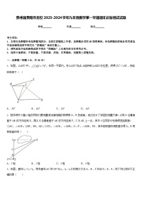 贵州省贵阳市名校2023-2024学年九年级数学第一学期期末达标测试试题含答案