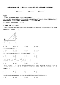 贵州省六盘水市第二十中学2023-2024学年数学九上期末复习检测试题含答案