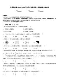 贵州省黔南2023-2024学年九年级数学第一学期期末考试试题含答案