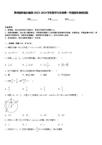 贵州省黔南长顺县2023-2024学年数学九年级第一学期期末调研试题含答案