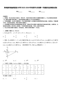 贵州省黔西南州望谟六中学2023-2024学年数学九年级第一学期期末监测模拟试题含答案