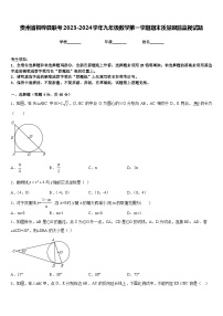 贵州省桐梓县联考2023-2024学年九年级数学第一学期期末质量跟踪监视试题含答案