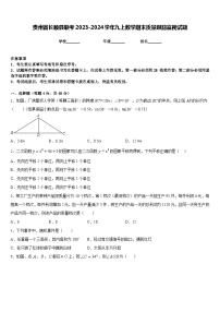 贵州省长顺县联考2023-2024学年九上数学期末质量跟踪监视试题含答案