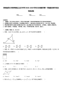 贵州省遵义市桐梓县私立达兴中学2023-2024学年九年级数学第一学期期末教学质量检测试题含答案