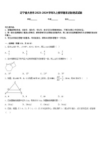 辽宁省大连市2023-2024学年九上数学期末达标测试试题含答案