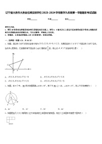 辽宁省大连市大连金石滩实验学校2023-2024学年数学九年级第一学期期末考试试题含答案