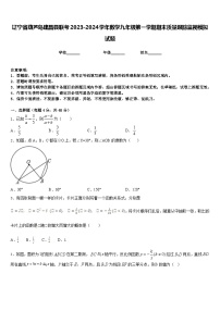 辽宁省葫芦岛建昌县联考2023-2024学年数学九年级第一学期期末质量跟踪监视模拟试题含答案