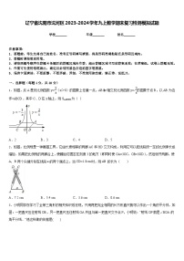 辽宁省沈阳市沈河区2023-2024学年九上数学期末复习检测模拟试题含答案