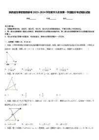 陕西省安康紫阳县联考2023-2024学年数学九年级第一学期期末考试模拟试题含答案