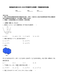 陕西省武功县2023-2024学年数学九年级第一学期期末联考试题含答案