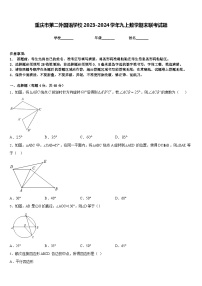 重庆市第二外国语学校2023-2024学年九上数学期末联考试题含答案