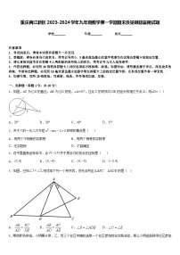 重庆两江新区2023-2024学年九年级数学第一学期期末质量跟踪监视试题含答案