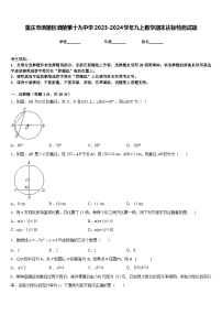 重庆市涪陵区涪陵第十九中学2023-2024学年九上数学期末达标检测试题含答案