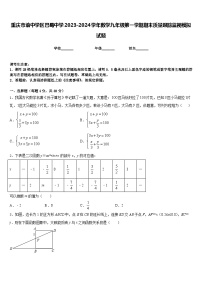 重庆市渝中学区巴蜀中学2023-2024学年数学九年级第一学期期末质量跟踪监视模拟试题含答案