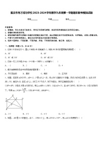 重庆市育才成功学校2023-2024学年数学九年级第一学期期末联考模拟试题含答案