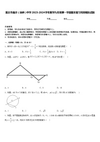 重庆市南开（融侨）中学2023-2024学年数学九年级第一学期期末复习检测模拟试题含答案