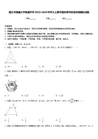 重庆市西南大学附属中学2023-2024学年九上数学期末教学质量检测模拟试题含答案