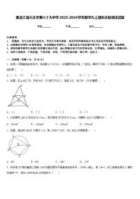 黑龙江省大庆市第六十九中学2023-2024学年数学九上期末达标测试试题含答案