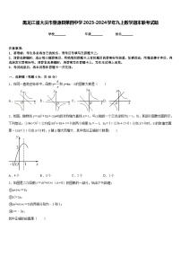 黑龙江省大庆市肇源县第四中学2023-2024学年九上数学期末联考试题含答案