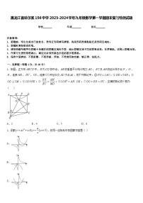 黑龙江省哈尔滨156中学2023-2024学年九年级数学第一学期期末复习检测试题含答案