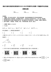 黑龙江省哈尔滨道外区四校联考2023-2024学年数学九年级第一学期期末学业质量监测模拟试题含答案