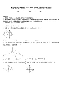 黑龙江省哈尔滨南岗区2023-2024学年九上数学期末考试试题含答案