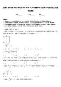 黑龙江省哈尔滨市哈尔滨风华中学2023-2024学年数学九年级第一学期期末复习检测模拟试题含答案