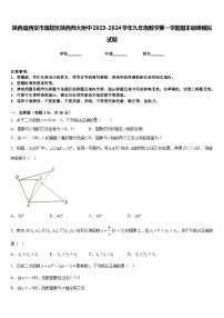 陕西省西安市雁塔区陕西师大附中2023-2024学年九年级数学第一学期期末调研模拟试题含答案