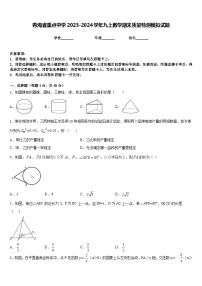 青海省重点中学2023-2024学年九上数学期末质量检测模拟试题含答案