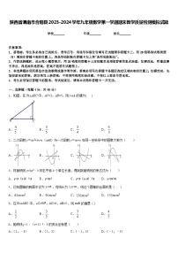 陕西省渭南市合阳县2023-2024学年九年级数学第一学期期末教学质量检测模拟试题含答案