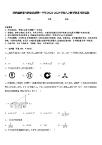 陕西省西安市西安高新第一中学2023-2024学年九上数学期末检测试题含答案