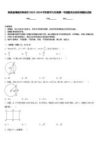 陕西省渭南市韩城市2023-2024学年数学九年级第一学期期末达标检测模拟试题含答案