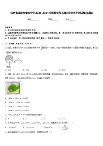 陕西省咸阳市秦岭中学2023-2024学年数学九上期末学业水平测试模拟试题含答案