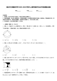 重庆市万州国本中学2023-2024学年九上数学期末学业水平测试模拟试题含答案