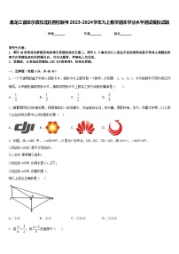 黑龙江省哈尔滨松北区四校联考2023-2024学年九上数学期末学业水平测试模拟试题含答案