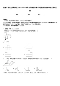 黑龙江省红光农场学校2023-2024学年九年级数学第一学期期末学业水平测试模拟试题含答案